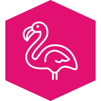$300 Raised - Flamingo Mingle for a year (12 passes)