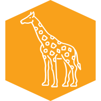 $625 Raised - Giraffe Feeding for a year (12 passes)