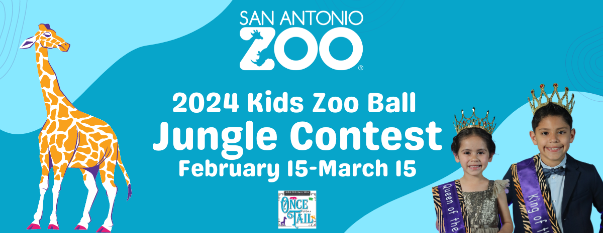 2024 Kids Zoo Ball Jungle Contest 